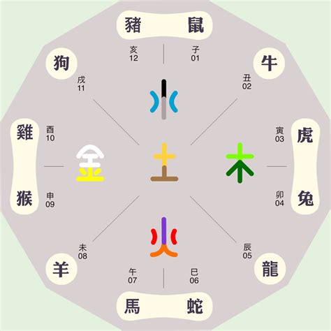 子五行属什么|子字的五行属性是什么